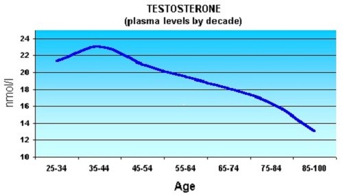 Men and the Rise and Fall of Testosterone 1